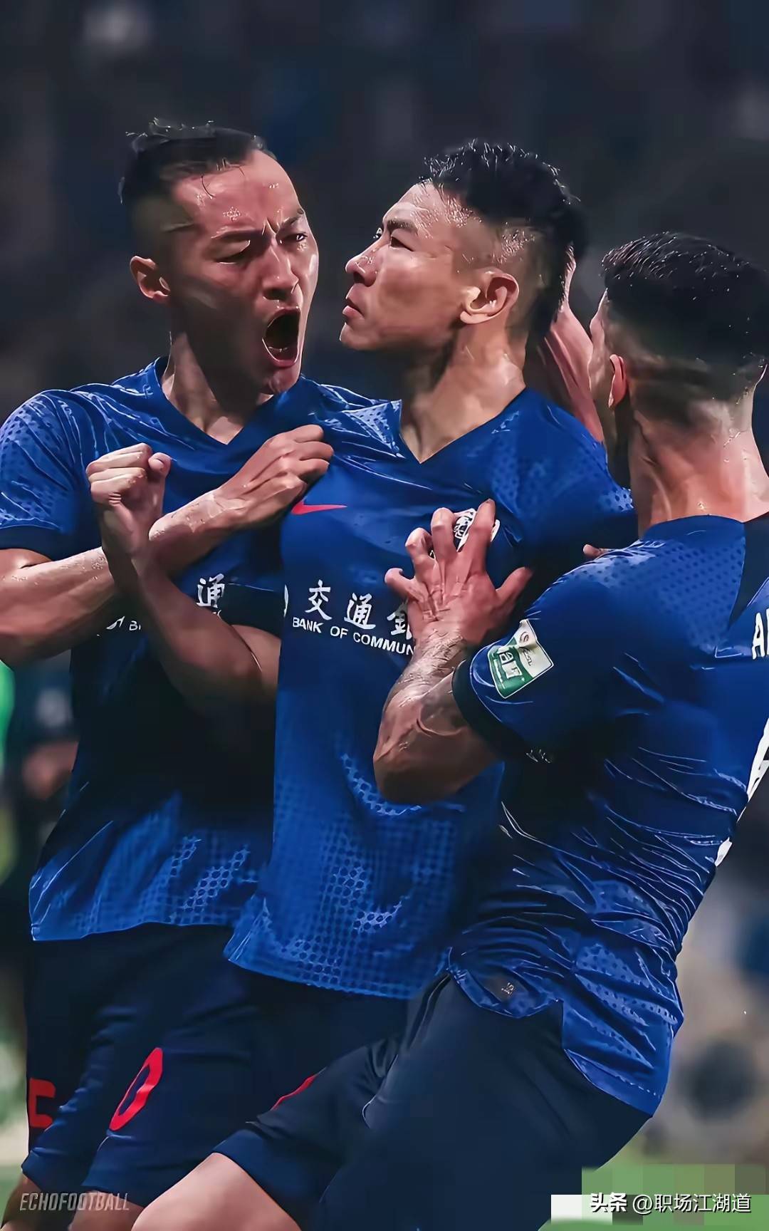 申花击败鲁能，扭转连败颓势的简单介绍