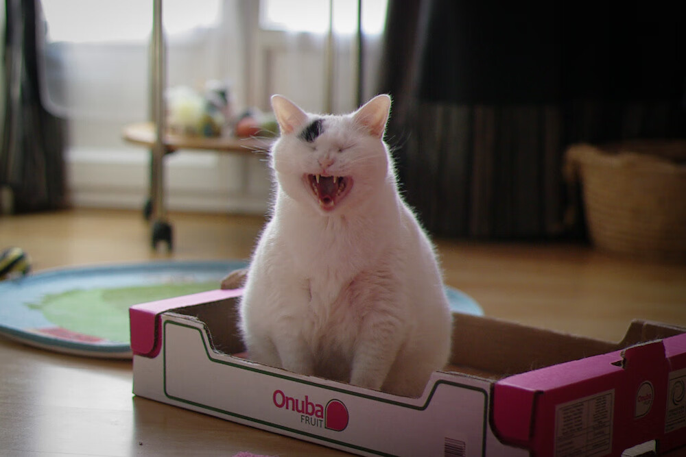 战术革命，洪都拉斯铁血防线锁死黄金一代，哈弗茨跨时代统治攻防两端