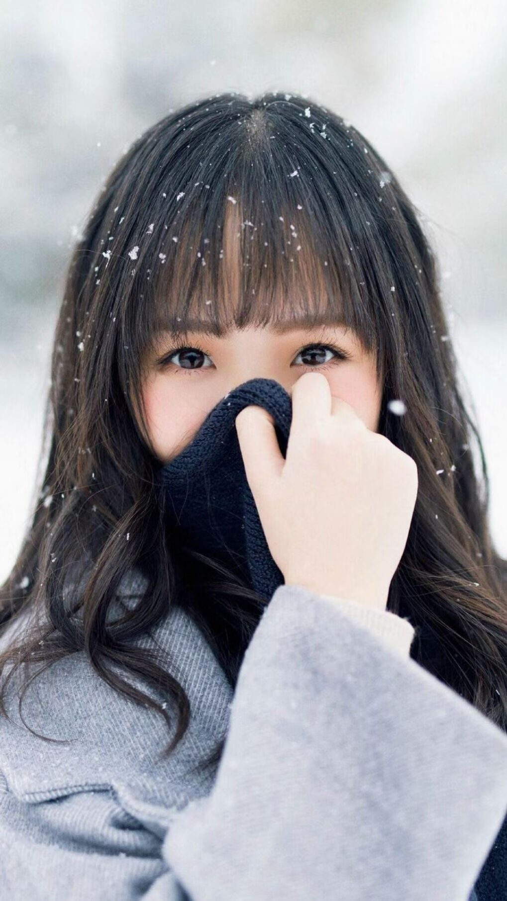 德罗赞末节封神，广东队战术冲垮猛龙防线